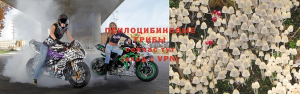 шишки Абдулино
