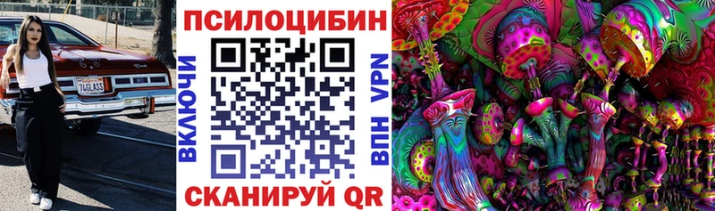 купить  цена  Кирс  Псилоцибиновые грибы GOLDEN TEACHER 