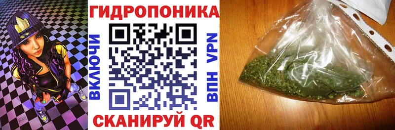 Конопля индика  Кирс 